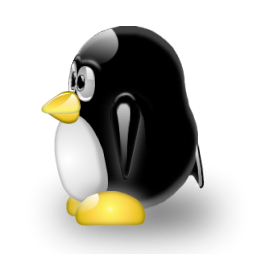 penguin pingouin pinguino 707